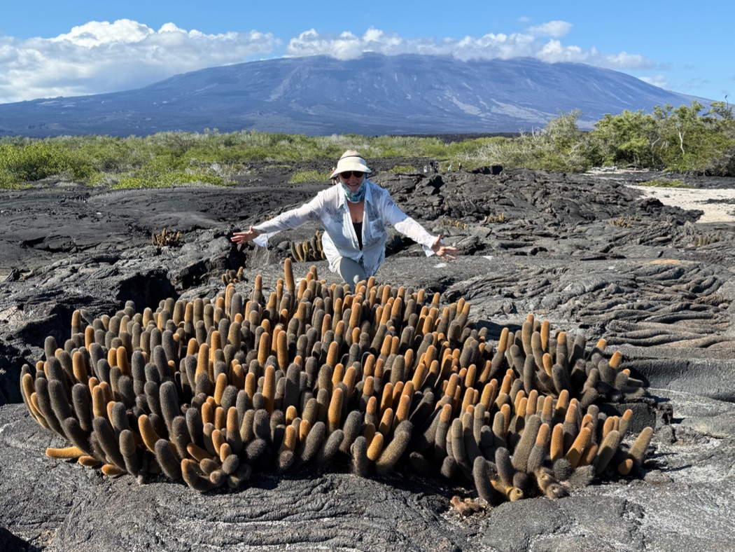 Galápagos heat.