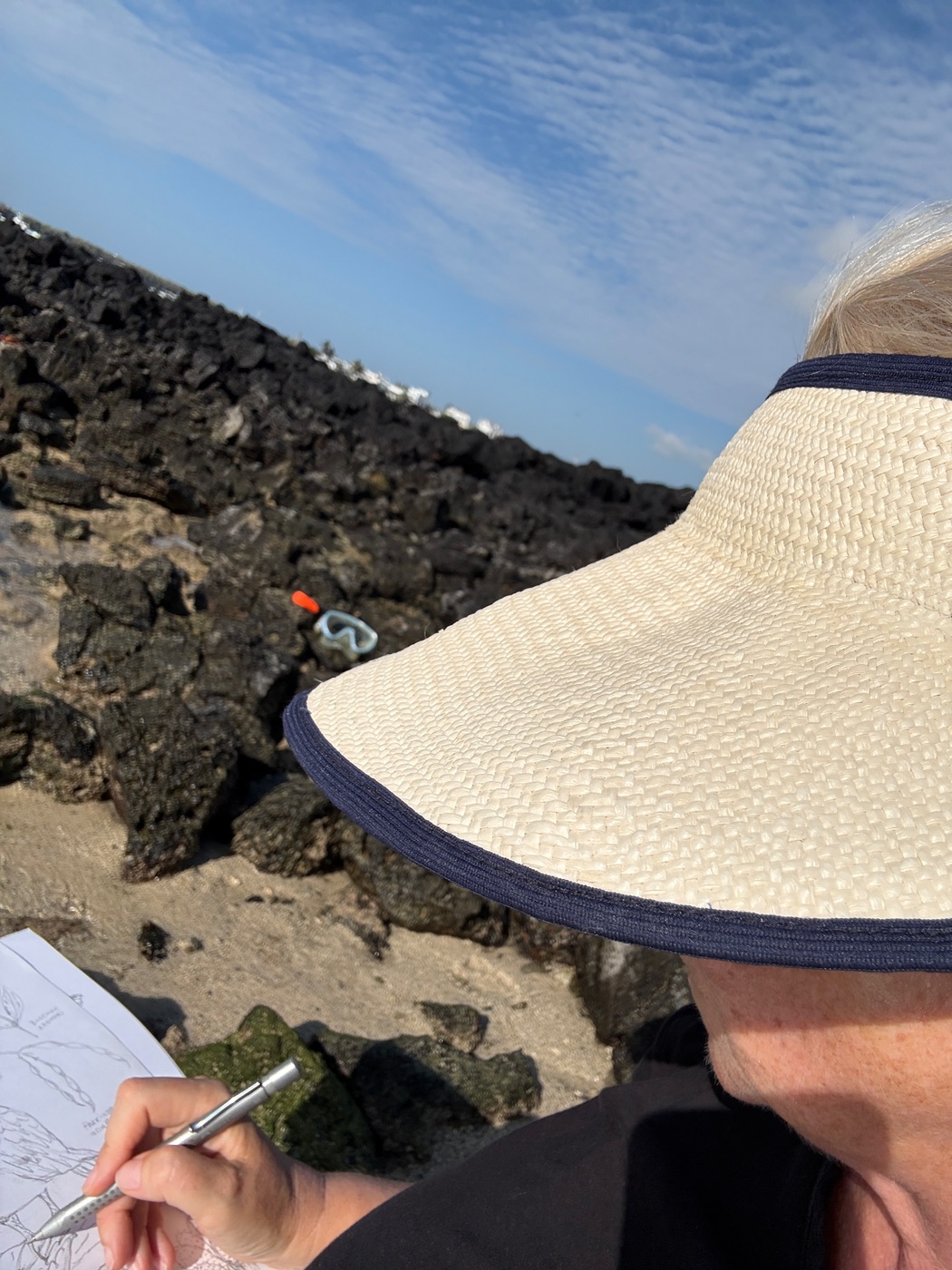 Sketching on the beach in Galápagos.
