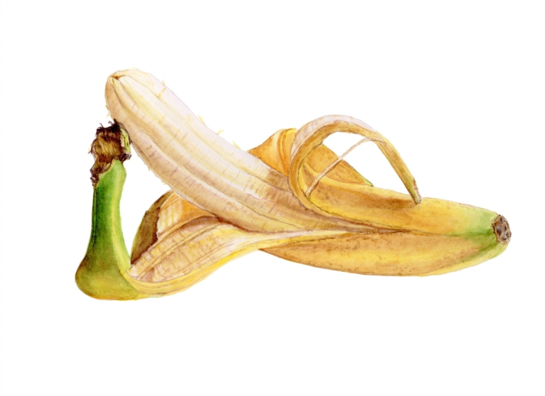 The Banana That Opened a Door for Me