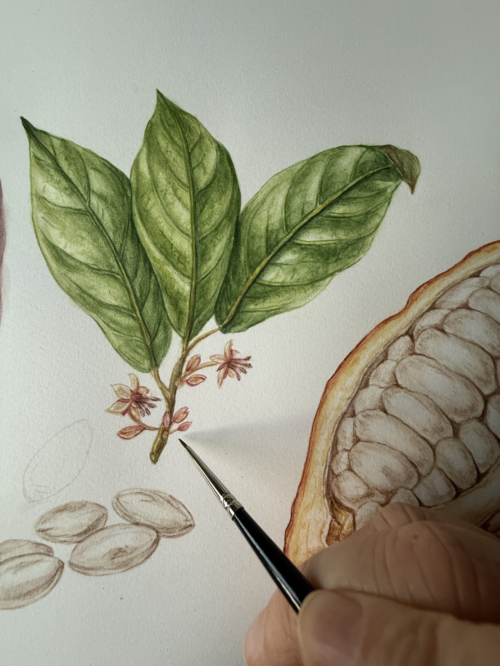 Mixing watercolours