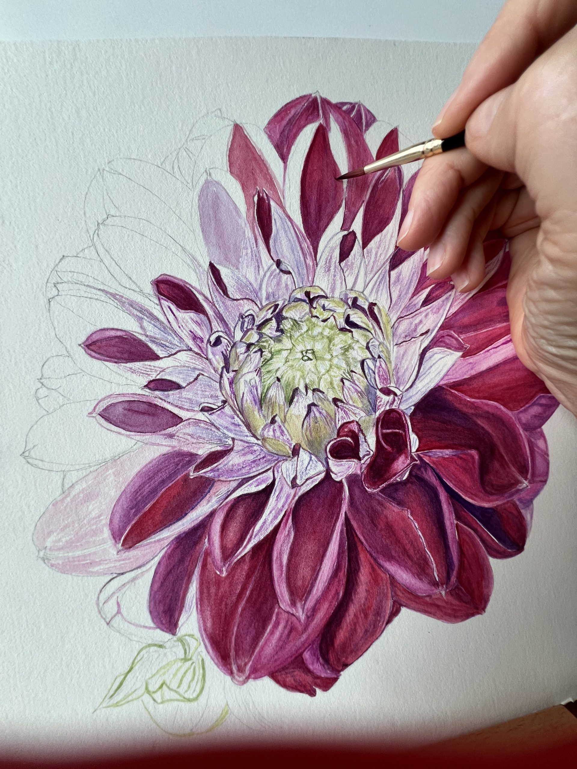 Painting Dahlias