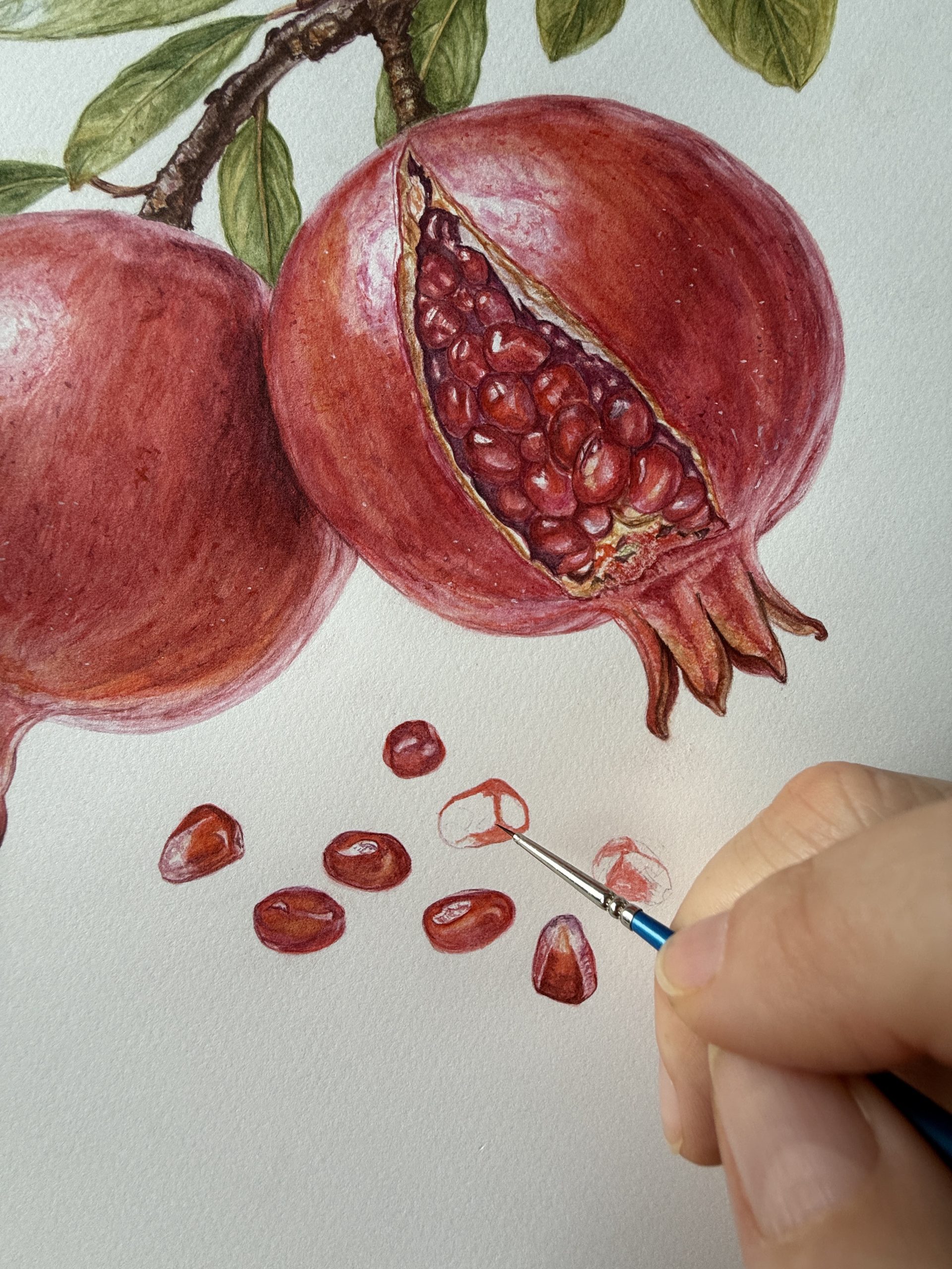 Painting pomegranate seeds