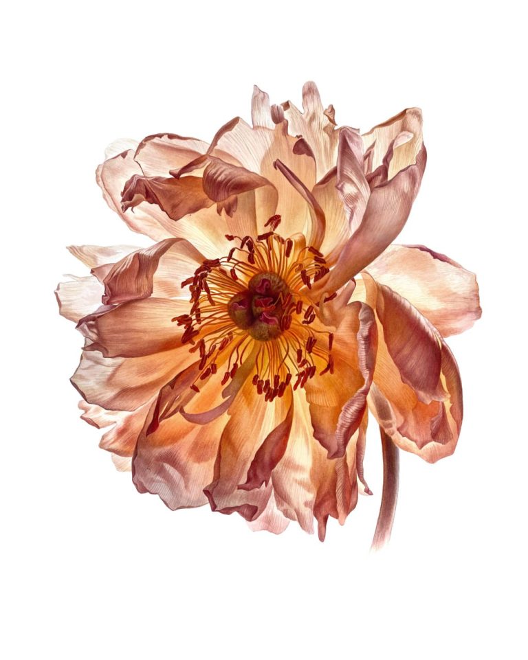 Tenderness by Svetlana Lanse