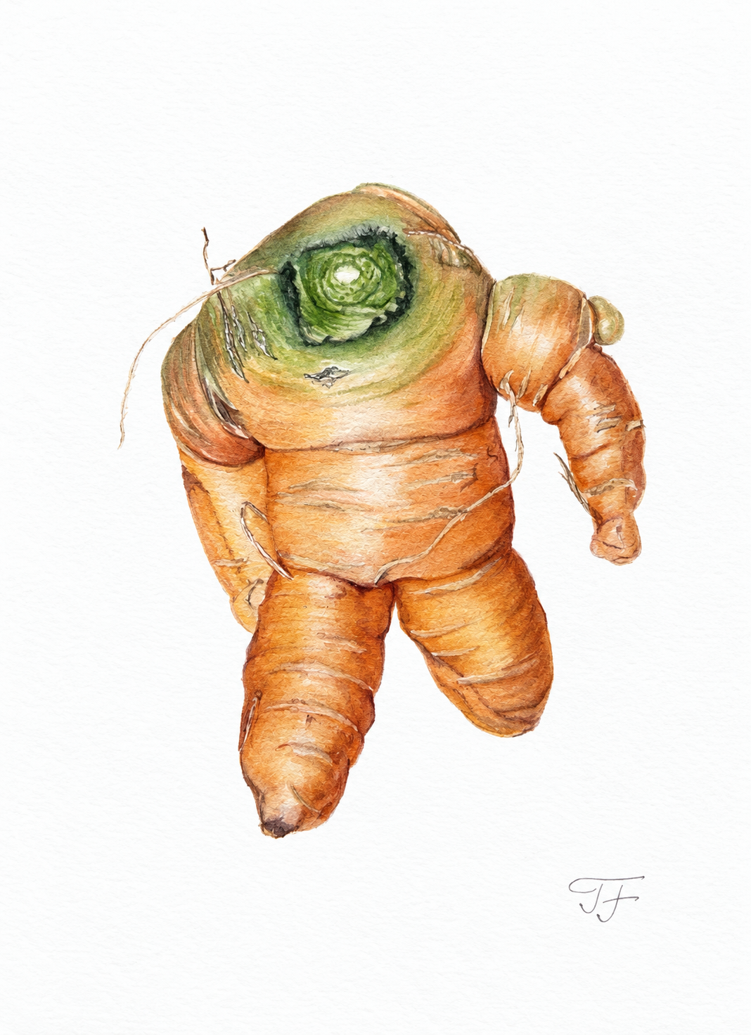 Power Root — Rikishi, a watercolour painting of a carrot with a stocky, sumo-wrestler build, by Inessa Falina
