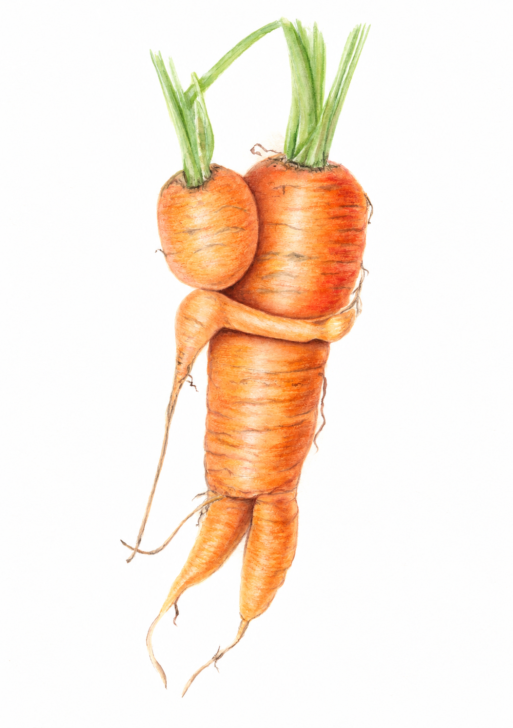 Hug, a watercolour painting of two carrots embracing, by Inessa Falina